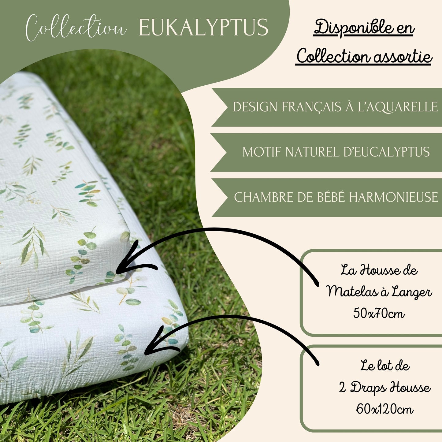 Collection Eukalyptus Assortie
