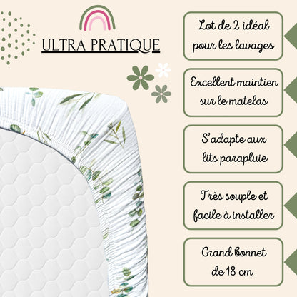 Lot de 2 Draps Housse 60x120 Coton BIO GOTS